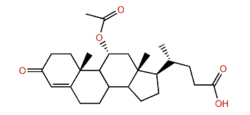 11-Acetyl-3-oxo-chol-4-en-24-oic acid
